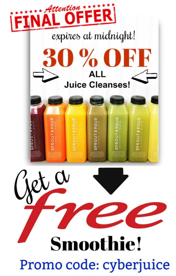 OMG! This is your last offer of 30% this year! Only a few hours left! - mailchi.mp/573e18ba56a6/g…