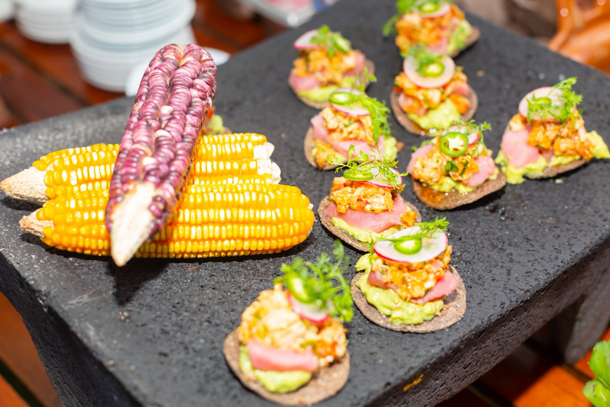 LVelasResorts's tweet photo. 10 years of living marvelous stories! This is how we celebrated the anniversary of @GVRivieraMaya. Delicious gourmet food and important personalities! What a party!  

#TravellerMade #VelasResorts #GrandVelas https://t.co/UiTjjxGuVJ