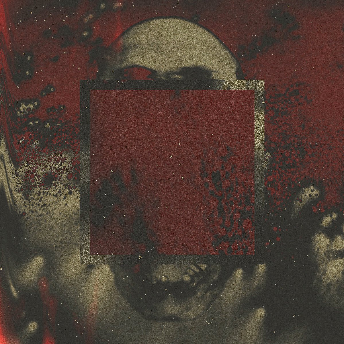Solid State Records tweet media