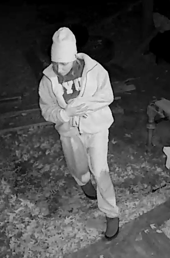 BlainePoliceMN's tweet photo. Detective Hamann is requesting the public's assistance with identifying a male and female who were involved in a theft near Radisson Rd/ 127th Ave. If you have any information please email her at khamann@blainemn.gov. https://t.co/Ce1yEXUy8q