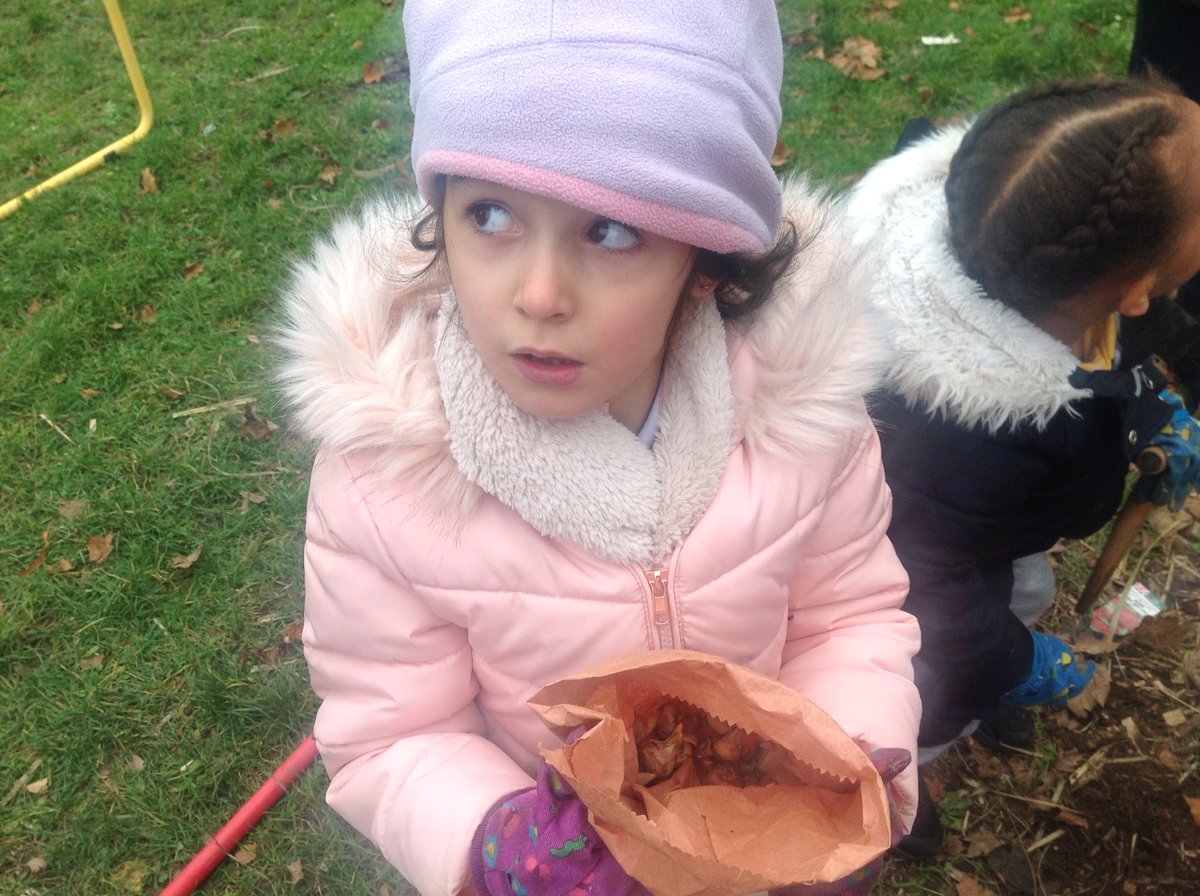 MsJGrieveHMPS's tweet photo. Nursery class are planting spring bulbs crocuses, daffodils, bluebells and snowdrops. How exciting! I wonder which one will be our favourite? @HerbMorrPriSch @N_ThinkersHMPS #naturalthinkers https://t.co/WCuJ8y88pr