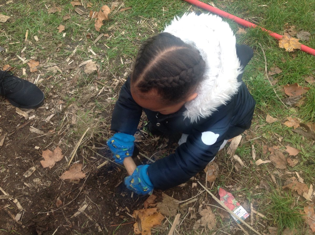 MsJGrieveHMPS's tweet photo. Nursery class are planting spring bulbs crocuses, daffodils, bluebells and snowdrops. How exciting! I wonder which one will be our favourite? @HerbMorrPriSch @N_ThinkersHMPS #naturalthinkers https://t.co/WCuJ8y88pr