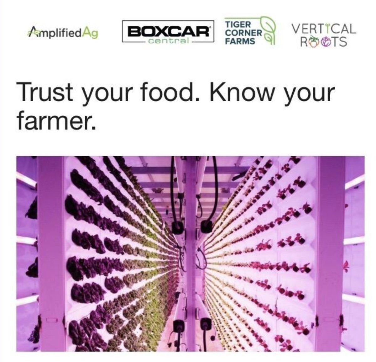 TigerCornerFarm's tweet photo. Keep it local, keep it fresh. We're happy to say Vertical Roots lettuce is NOT affected by the #romainelettuce recall. Read our letter: https://t.co/P9Otzov3gj https://t.co/IKIfAovWKS