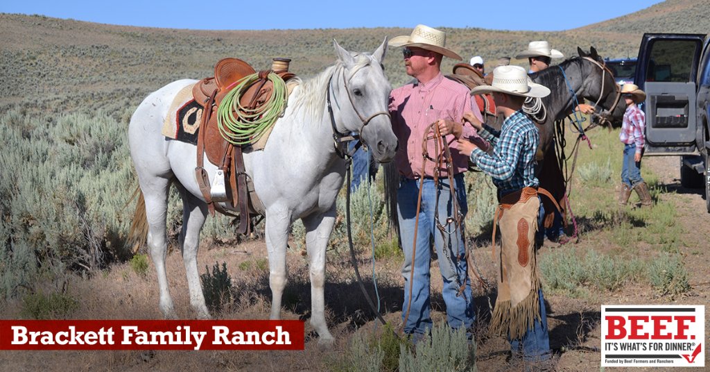 Beef Facts tweet media