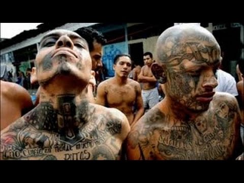 Cryptomonkey64's tweet photo. @Redbrnchwarrior @RepMaloney @realDonaldTrump It's no asylum it's "double dipping" ! https://t.co/bsYRh8onpl