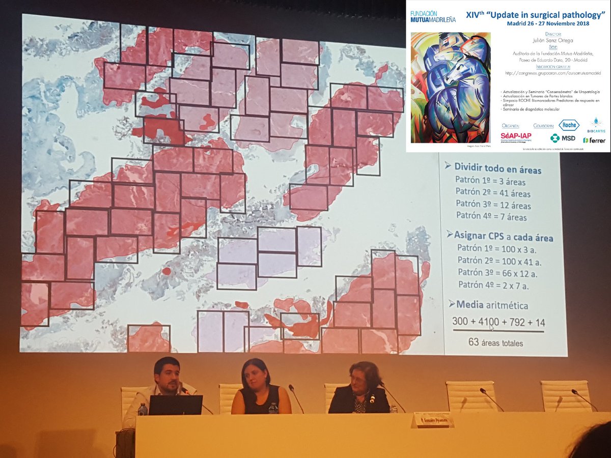 LangerPath's tweet photo. An interesting and funny talk by @crazylymphocite 👨‍💻 Thank you very much! 👏
Learning so much at #UpdateSurgicalPathology 🤓
With @AlbaLarrea7 @LuizMiguelN
#pathology #pathologists @SEAP_IAP https://t.co/vrQMzxy3hx