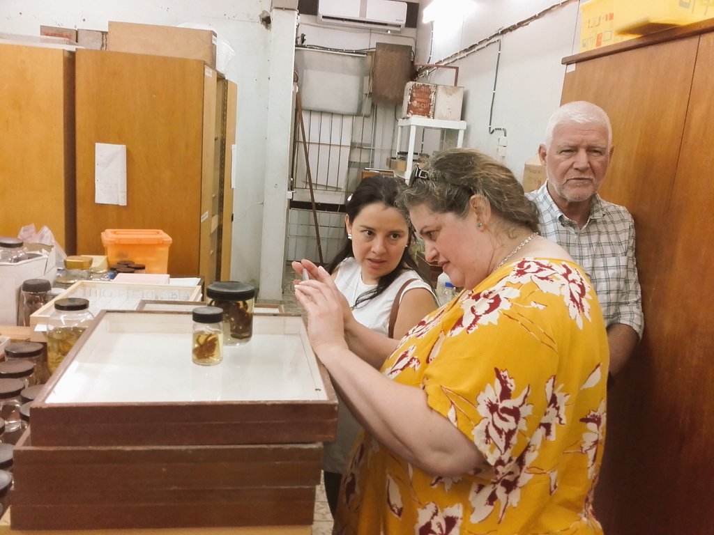 MahevaBLaursen's tweet photo. #GBIFBID data use workshop. Admiring #NZCS collection https://t.co/BT91uZadJL
