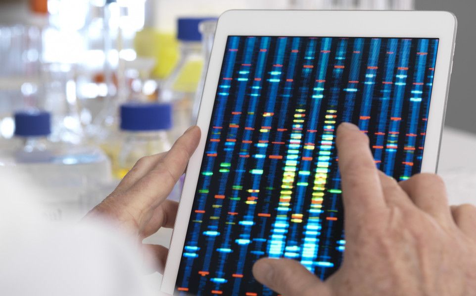 ThinkTankExile's tweet photo. Researchers Finally Discover the Genes that Produce THC and CBD in Cannabis 

The genome of the cannabis plant was sequenced back in 2011 but researchers have struggled to isolate the genes responsible for producing THC and CBD. Until now. https://t.co/puQ0tnOTcr https://t.co/IFW5adrPIQ