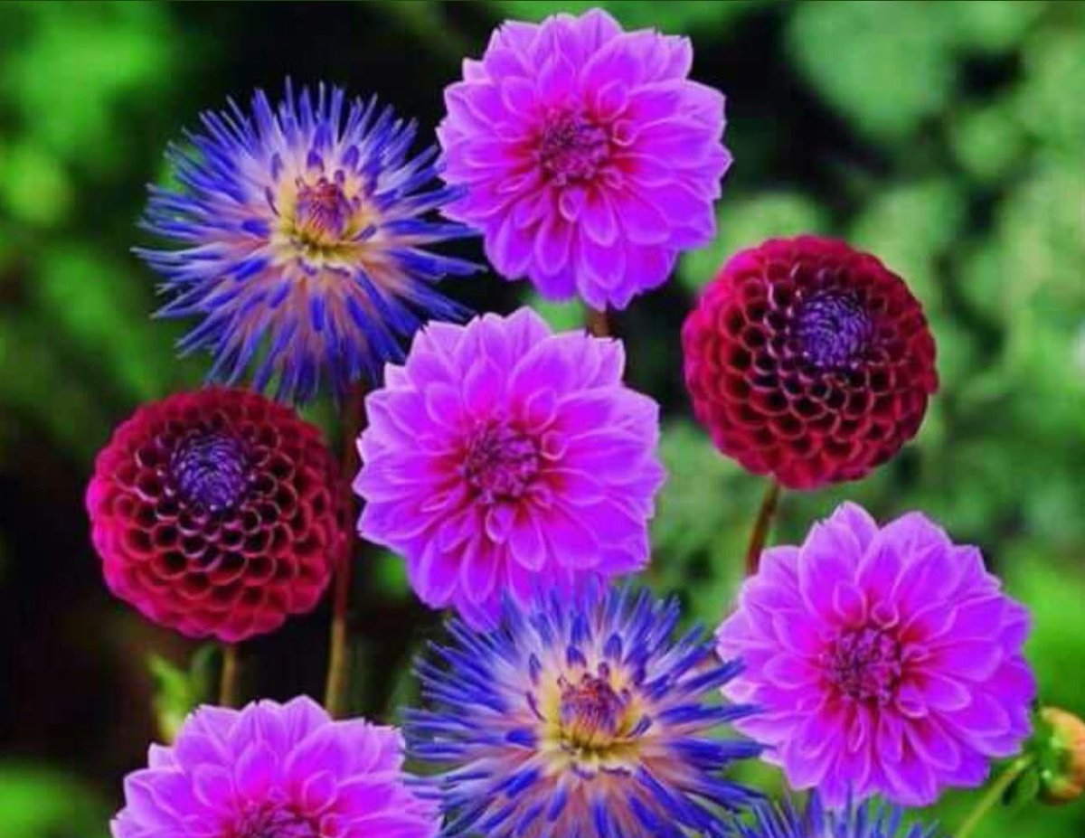 Good Morning! Warm welcome, new followers. I hope you enjoy my site.

Wishing everyone a day filled with joy and success :)

Pic via <a href="/ScannellGlenn/">Glenn Scannell</a>
