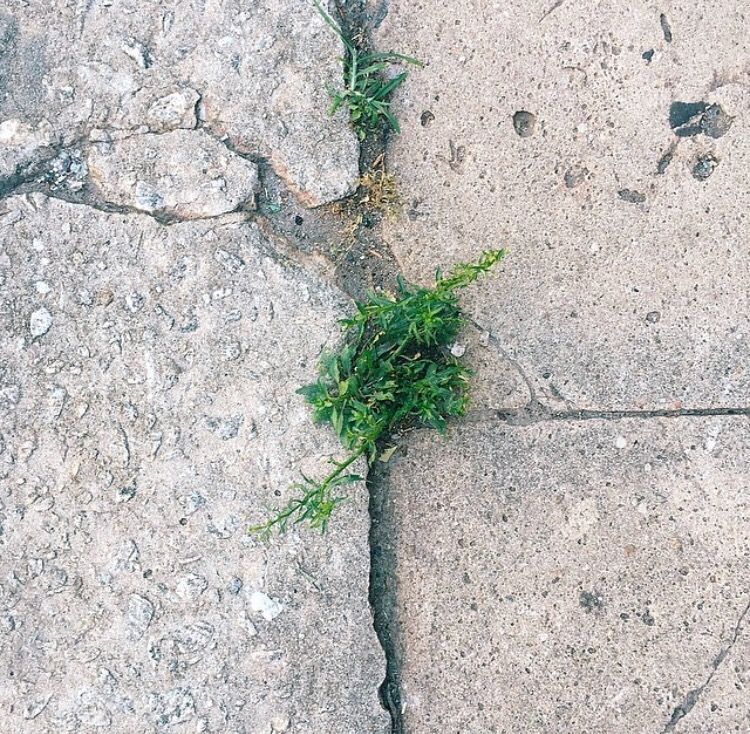 When was the last time you pretended to be a kid? 
•
Whether it is finding a giant puddle and jumping in it, splatter painting on a  canvas, or pretending the grass growing through the cracks in the sidewalk is a tiny forest, we hope u find time to tone into ur 5-yr. old self.