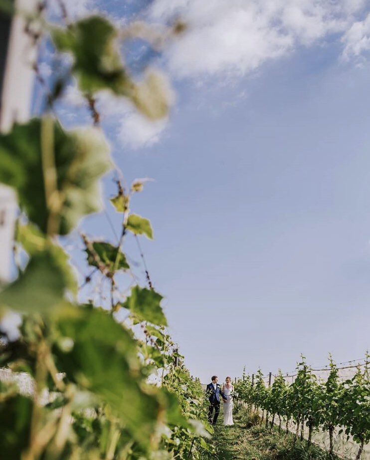 A stunning vineyard moment  🥂🍾 
📷: Arianna Fenton Photography 

#weddingvenue #lovecornwall #winelover #vineyardwedding #cornishwedding #padstow #weddingphotography