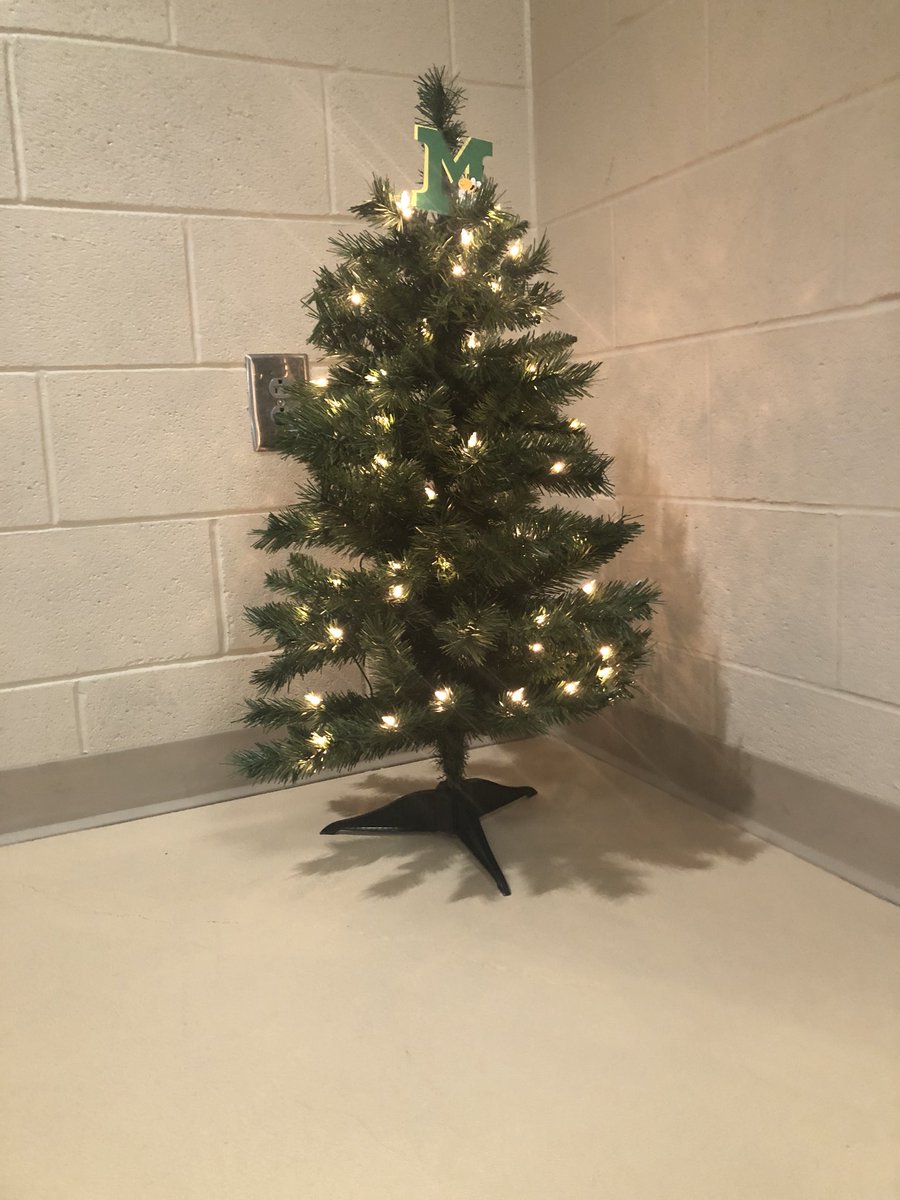 Medina Girls XC 2018 tweet media