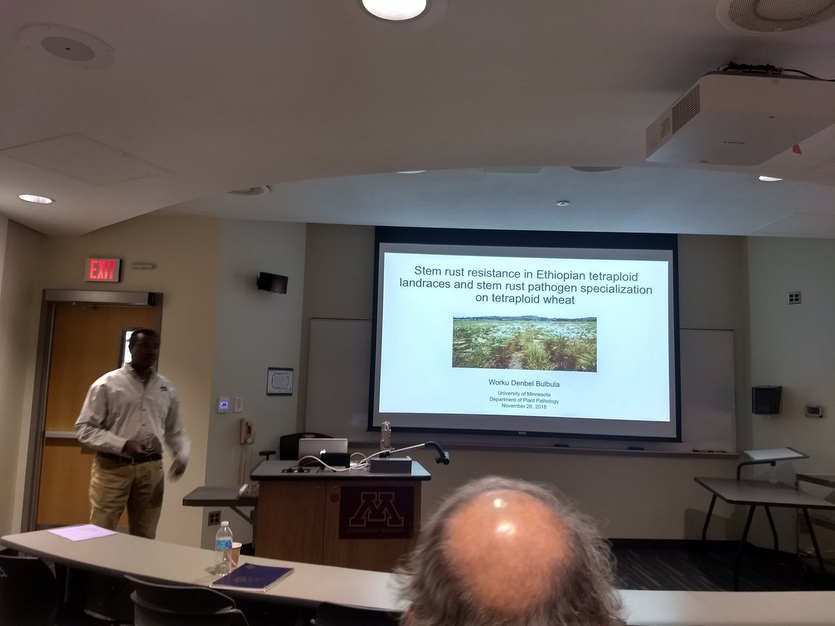 deepak_plpa's tweet image. #stemrust #talk by @UMNPlantPath #graduate #student Worku Bulbula #wheat #Ethiopia