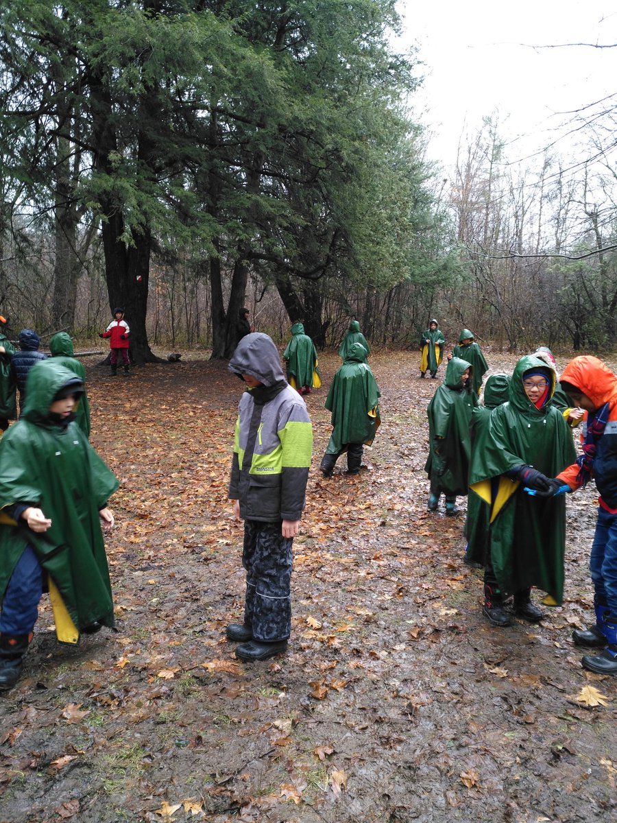 MrsSirbos's tweet photo. Acting as ants and wasps, collaborating and conserving energy!!! @ForestValleyOEC 
@Alexmuir_TDSB https://t.co/W55vKhE0K2