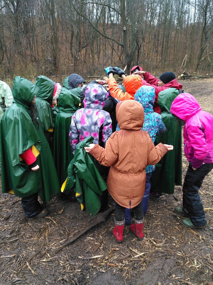 MrsSirbos's tweet photo. Acting as ants and wasps, collaborating and conserving energy!!! @ForestValleyOEC 
@Alexmuir_TDSB https://t.co/W55vKhE0K2