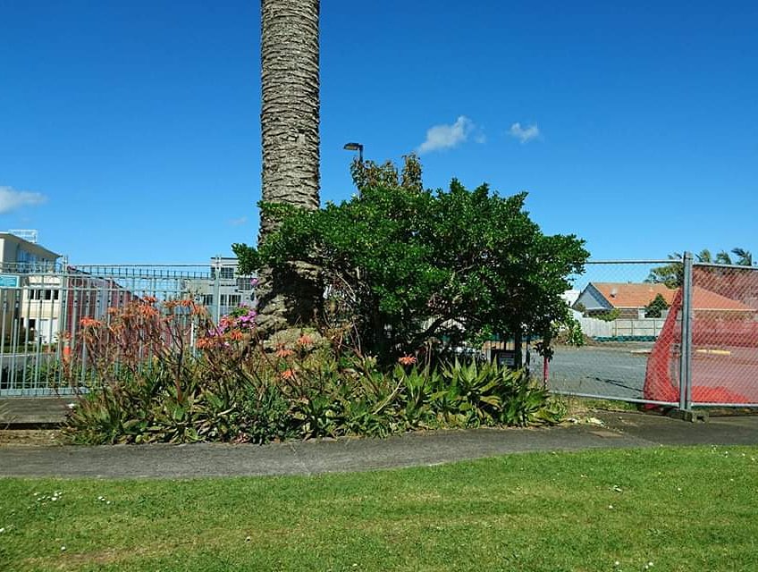 PacifeconNZ's tweet photo. Pacifecon currently has over 270 #residential retirement projects in planning in NZ
Kahu #Apartments at Eastcliffe #Retirement Village, #Auckland. Start of work to replace former apartment block demolished due to structural & fires.
#curvedroof #projectleads #nzconstruction https://t.co/AHGltmjC1z