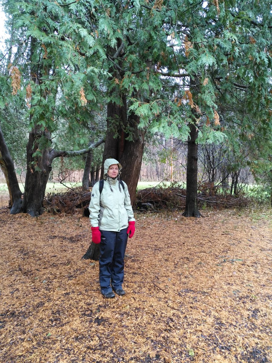 MrsSirbos's tweet photo. Thanks Melissa and Mitch @ForestValleyOEC!
Even Mrs. Demmer was conserving energy, standing under "nature's umbrella" 🤣 @Alexmuir_TDSB https://t.co/cy8Hoa3VPn