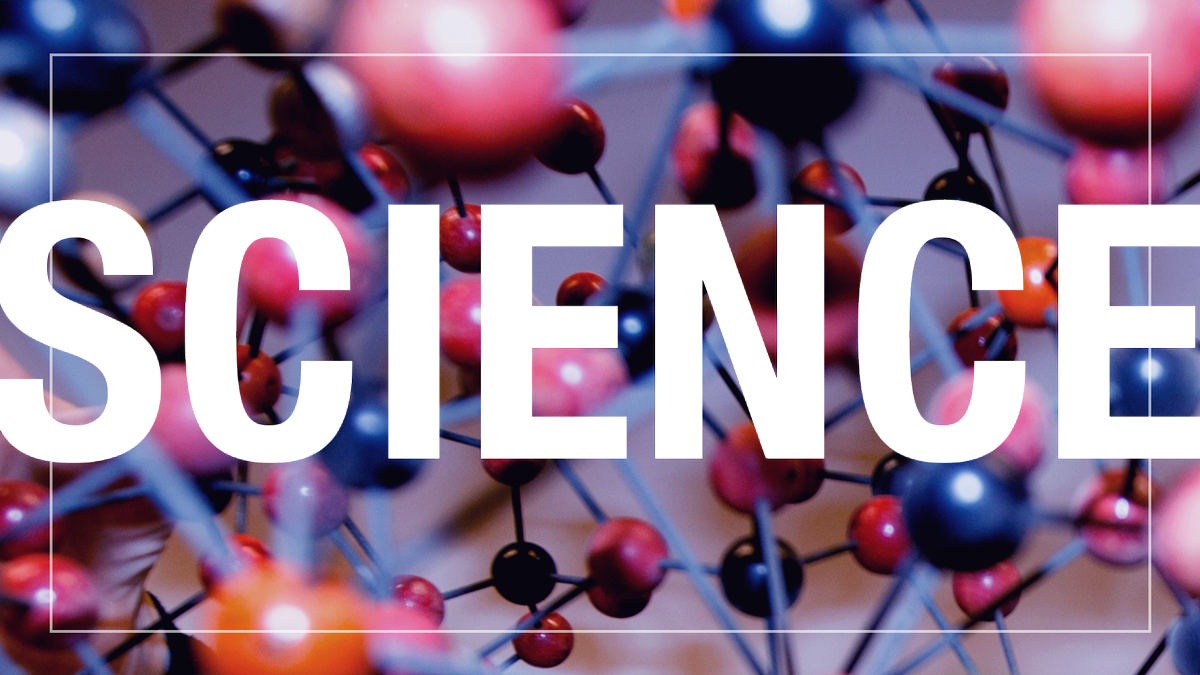 LandmarkMiddle's tweet photo. Thursday, December 6 is our Title 1 Science and ESOL Night. Join us at 4:30 p.m. #LandmarkMiddle https://t.co/MkiA85d1Zq