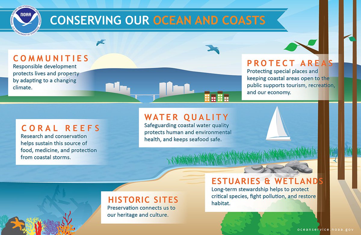 NOAACoral's tweet photo. Threats to #coralreef ecosystems can feel too big to tackle. Don’t underestimate the impact of the individual. Learn more about how to “Think globally and act locally” with this infographic (https://t.co/WzzVS4pa1t): https://t.co/TBLpr0EbJN