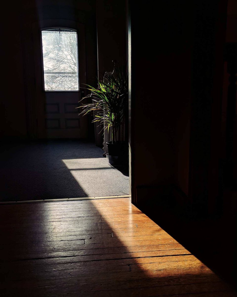 SadleirHouse's tweet photo. No matter the season, Sadleir always has the sun's favour. https://t.co/nEdV33EuvV