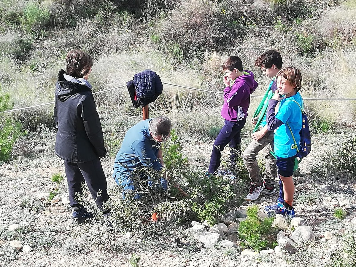 GsQuetzal's tweet photo. Como cada año, la tropa estuvo el sábado colaborando con la campaña de reforestación "Planta el teu arbre al Calvari" 🌱
#CompromisoScout #TropaBrownsea https://t.co/arvRJoGyTN