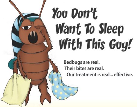 Surf City On Twitter If You Think May Have Bed Bugs In Your Here At Surf City Pest Control We Will Inspect Your Home Confirm The Species And Recommend A Course Of Bed Bug Treatment
