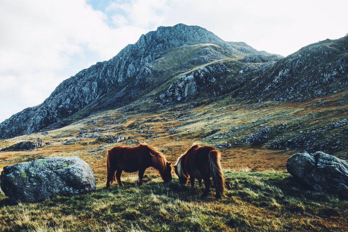 Daniel Casson tweet media
