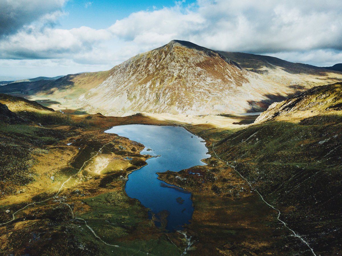 Daniel Casson tweet media