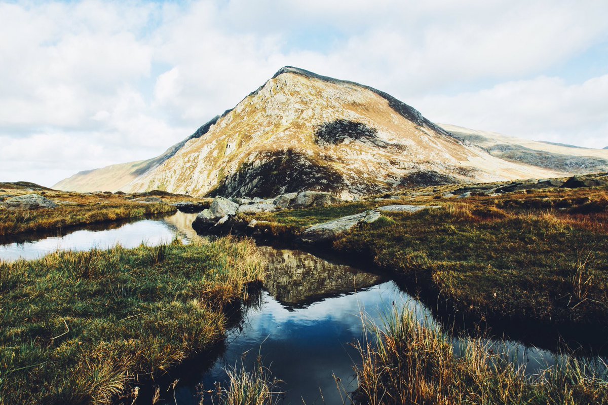 Daniel Casson tweet media
