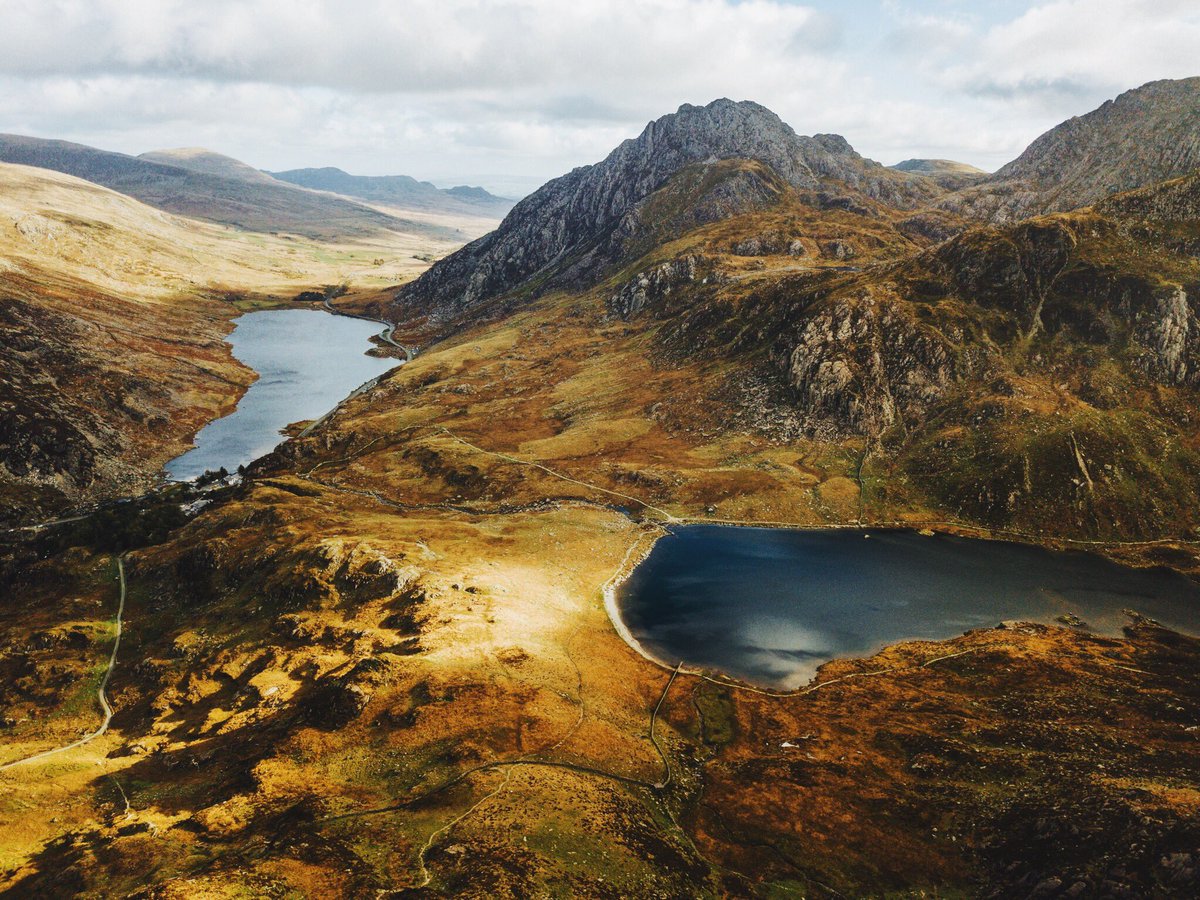 Daniel Casson tweet media