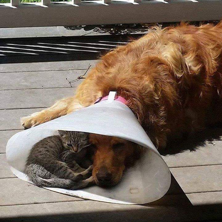 SELearningEDU's tweet photo. When someone is going through a rough time sometimes you just sit with them. No preaching, no advice. Just be there.
#SEL #relationships #empathy https://t.co/44ioiwQeBy
