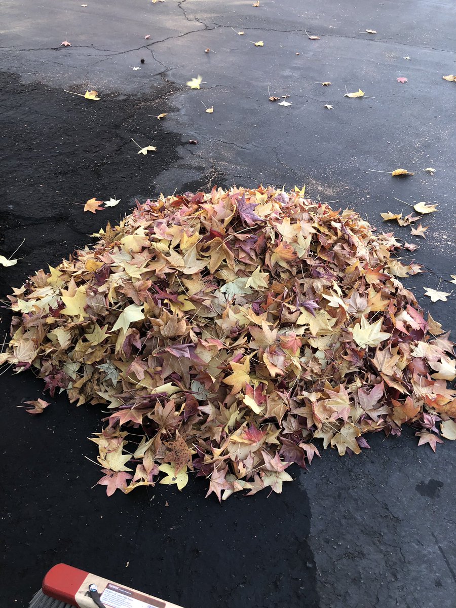 socalstruggles's tweet photo. All of these tree pieces. Had to buy so much super glue. 😞 https://t.co/1bWjuouC13