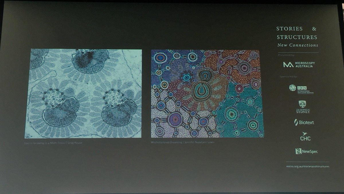 matilda_hd's tweet image. Starting Day 2 of #FutureMicrobiome2018: Jenny Whiting speaks about a wonderful exhibition of #micrographs and Aboriginal Australian #art she has curated. Check it out here: micro.org.au/storiesandstru…