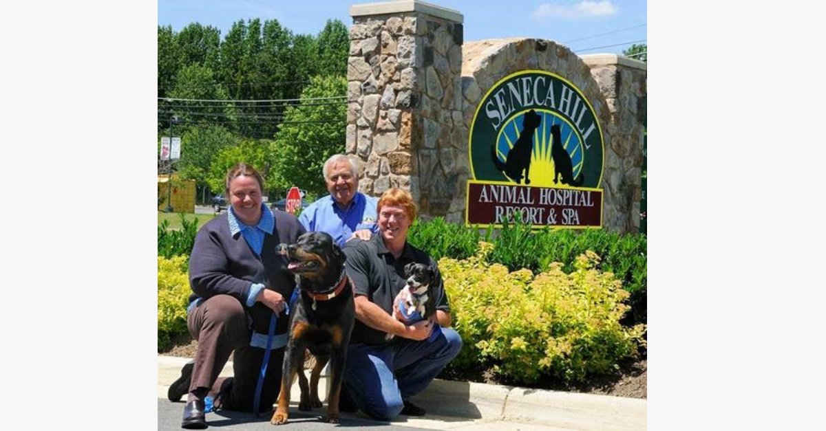 Community Veterinary on Twitter: Community Veterinary on Twitter: