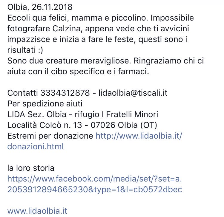 LidaSezOlbia's tweet photo. Eccoli qua felici, mamma e piccolino. Impossibile fotografare Calzina, appena vede che ti avvicini impazzisce e inizia a fare le feste, questi sono i risultati :) Sono due creature meravigliose. Ringraziamo chi ci aiuta con il #cibo #specifico e i #farmaci. https://t.co/DfA7stKehP