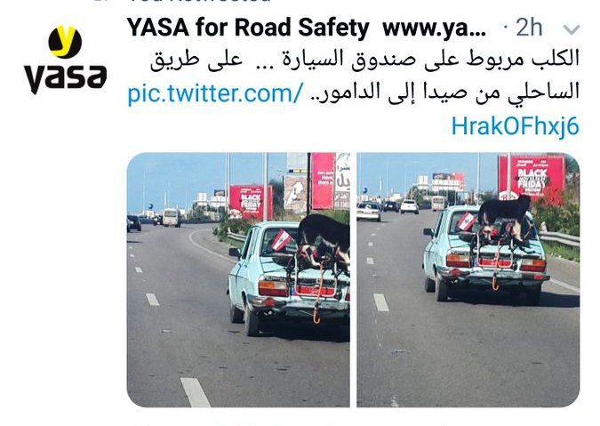 GhinaNahfawi's tweet photo. انا ميتي ما بموت. ما حأنطر كاميرات، بصلتي محروقة عالآخر من الكم الهائل من المخالفات بحق الحجر والبشر والشجر والطيور والحيوانات والسلامة المرورية والموت الرخيص! يعني قلبي من الحامض لاوي!
اللوحة رقم 378002/م على رينو هي للسيد رجا زاحلان من عالية! مخالف ومكتر، وناطرة صورة المحضر! https://t.co/0Ecv54SAJw