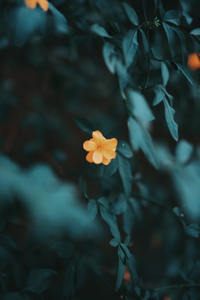 antility's tweet photo. o clima está mudando. precisamos cuidar da natureza, como ela tem cuidado de nós. #antility https://t.co/qxXiHoeIDP