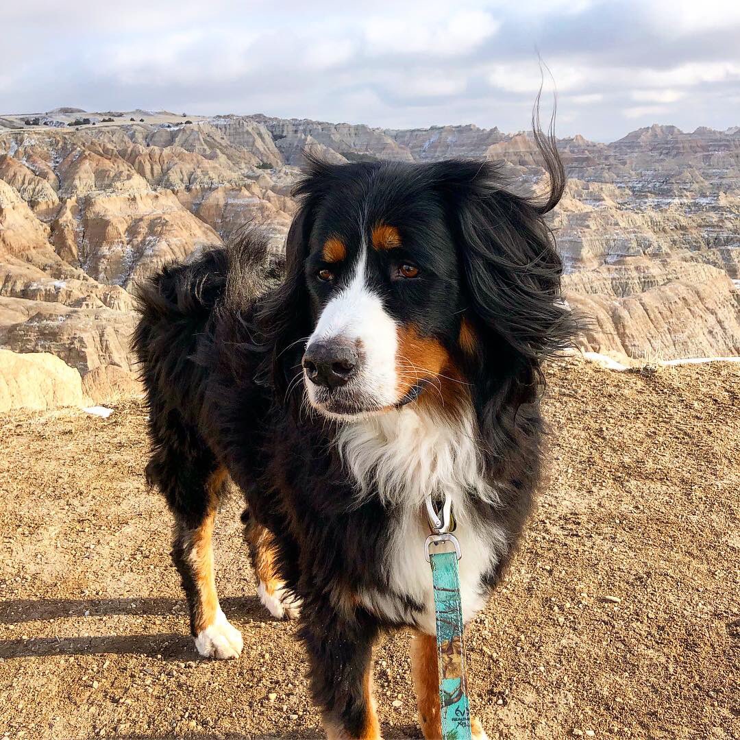 AdventureOlli's tweet photo. Adventure Girls live for road trips! #TheBadlands #SouthDakota #Adventure https://t.co/6ie00J7RsA