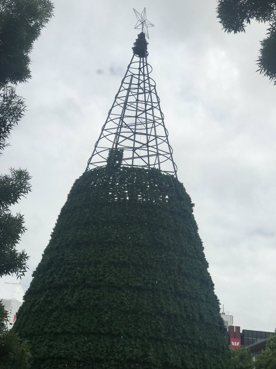 Wugga's tweet photo. Team is getting it done! #treewatch2018 https://t.co/hdU1ymgfkU