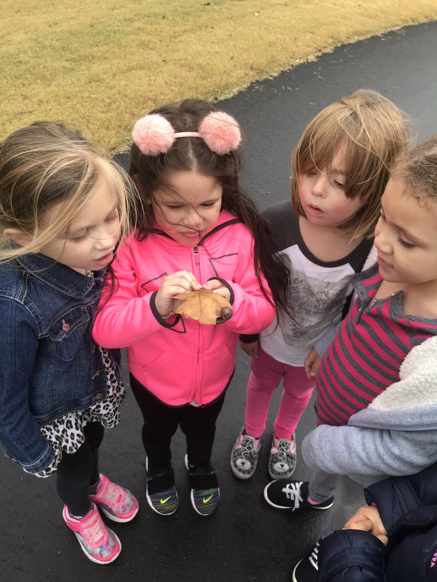Rain brings out the fun in nature. We found this snail while walking the track. Discovered it is a different species of snail than what we have in our classroom terrarium.