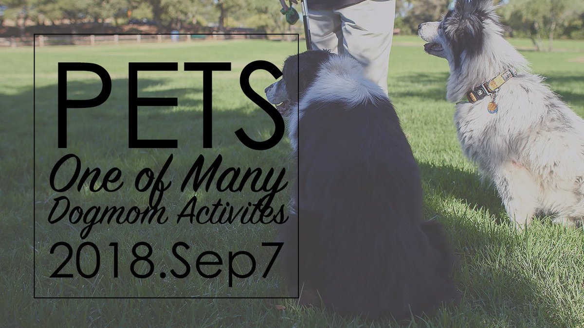 CatOFilc's tweet image. Took my girls (dogs) out back to one(1) of their new spots in Menlo Park. Captured some new photos and vids.

youtube.com/channel/UC7GOX…