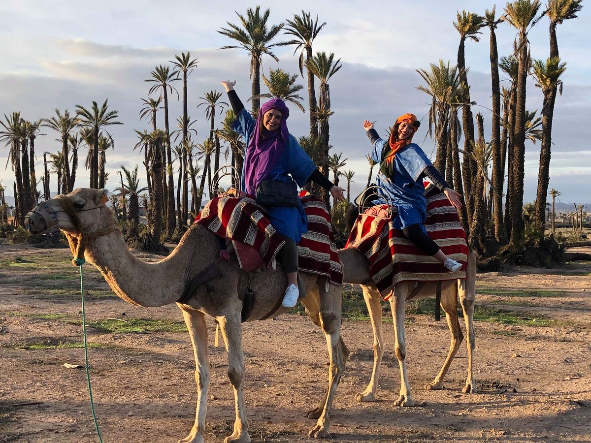 Désolée, mon dromadaire ne retrouve pas le chemin du retour... je reste au #Maroc. 🐪
