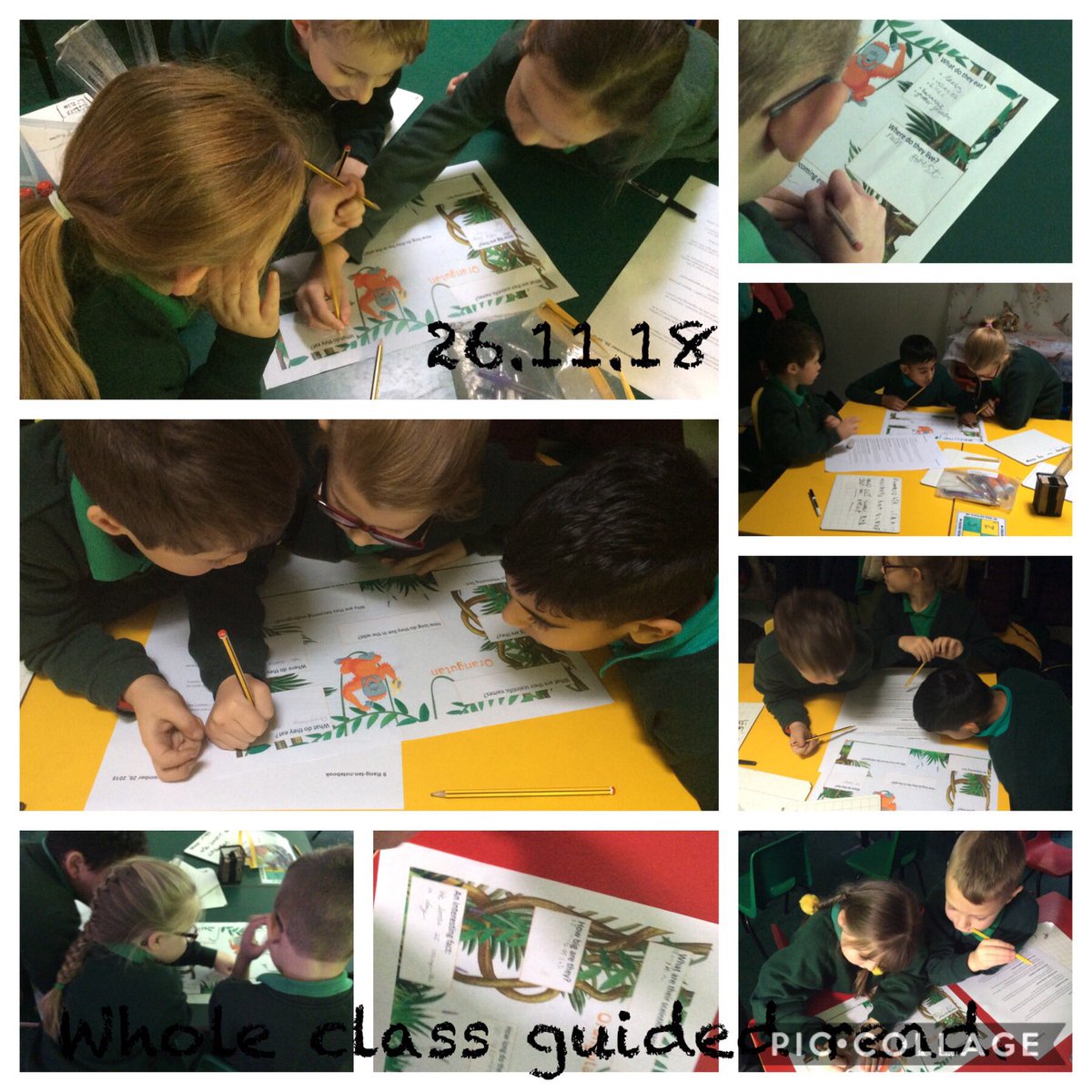 TimbertreeYr4's tweet photo. Orang-utan. #IcelandAdvert Finding facts: We lose 25 orangutans a day. In the wild they can live for 30/40 years. To provide palm oil for food the orangutan habitat is being destroyed. #thoughtfulchildren #wholeclassread https://t.co/mEje6lzbFL