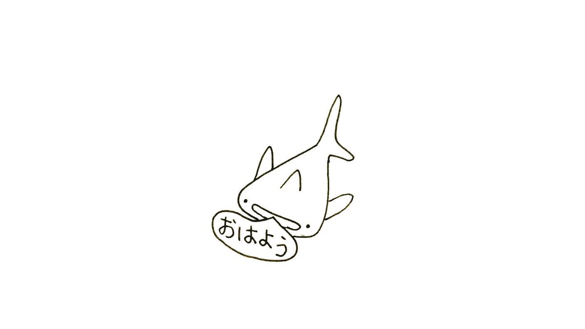 けいこっとん おはようザメ やはりジンベイザメは可愛いです 皆様 良い1日を イラスト サメ Illustration Shark T Co Pzz6thhxrl Twitter