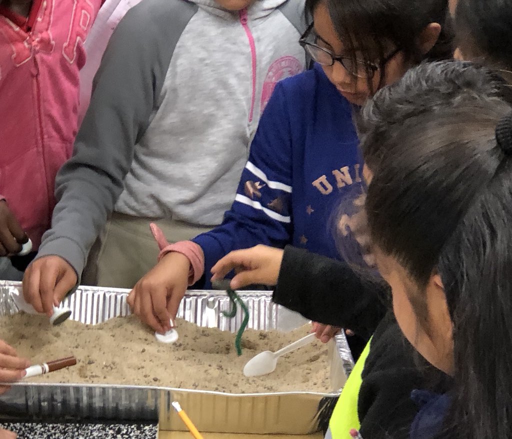 vega7myriam's tweet image. Magnetic vs. non-magnetic experiment. What a great way to learn about magnetism! 100% student engagement. @Horn_Dream_Big @HornBeyondBooks @AliefScience #magnetic #nonmagnetic #funexperiment