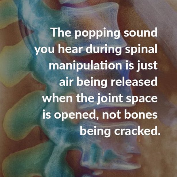 Crocker Chiropractic (Crocker_Chiro) Twitter