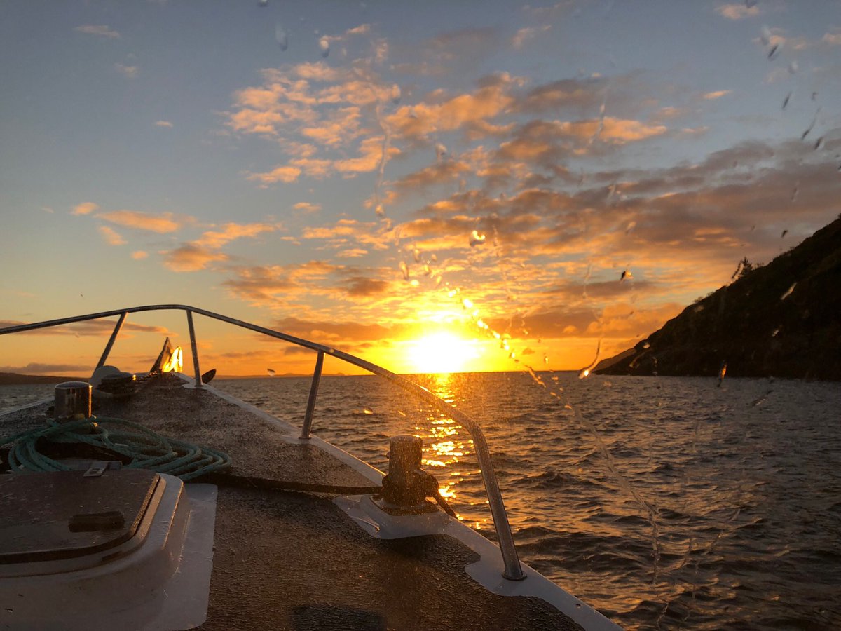 FynalflingT's tweet photo. Sunrise this morning https://t.co/C8ousbC3Iu