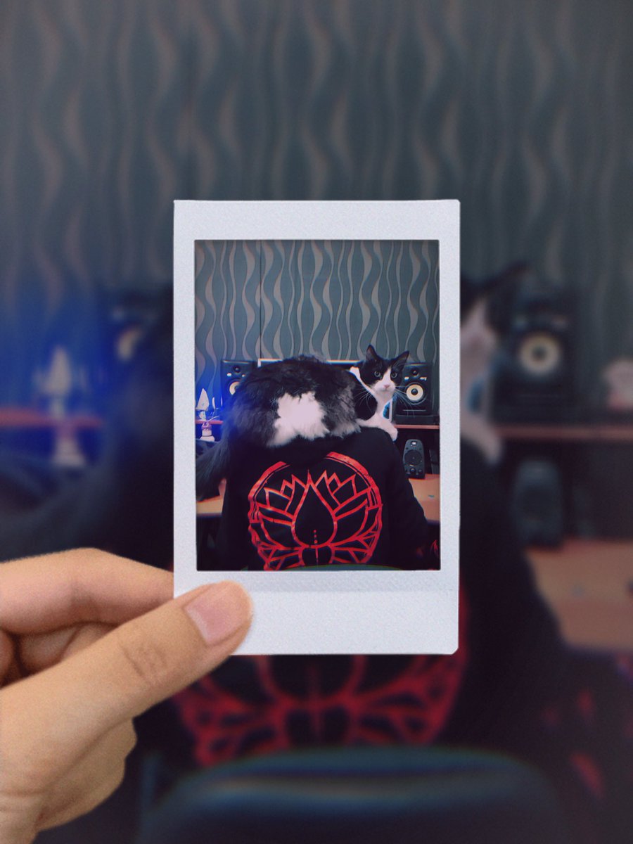 RedLotusAus's tweet photo. Just because we have no more shows this year doesn’t mean we’ve stopped working. https://t.co/fuDt4hvy6M