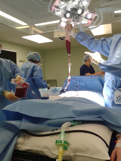 LED 💙 🇮🇪 tweet media