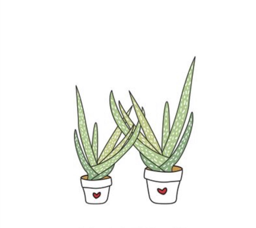 LeSolSF's tweet image. Aloe You Vera Much! 🌿